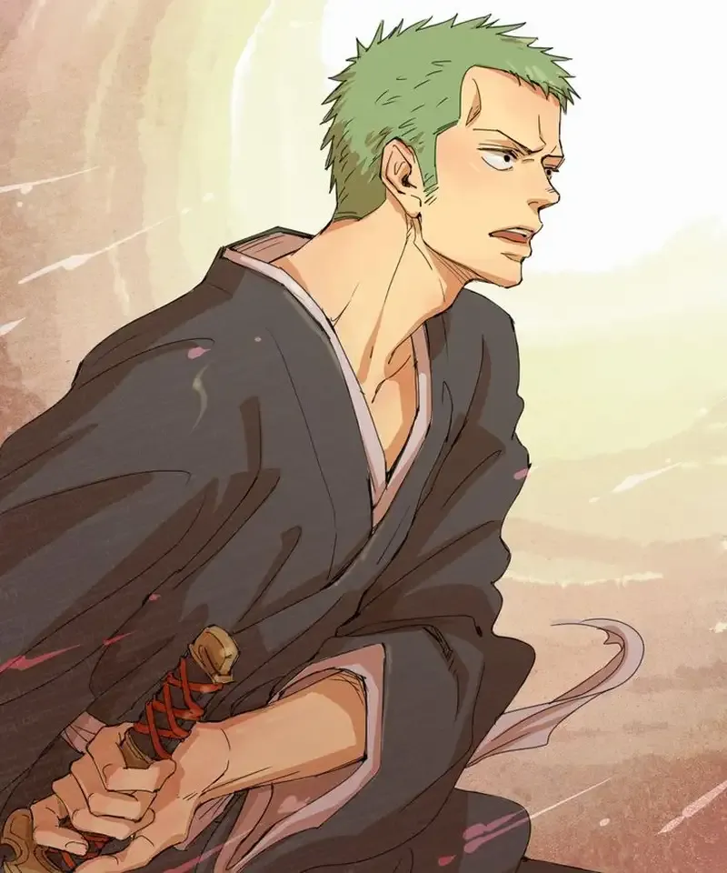 Roronoa Zoro 6