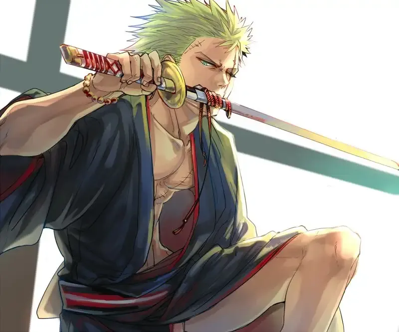 Roronoa Zoro 8
