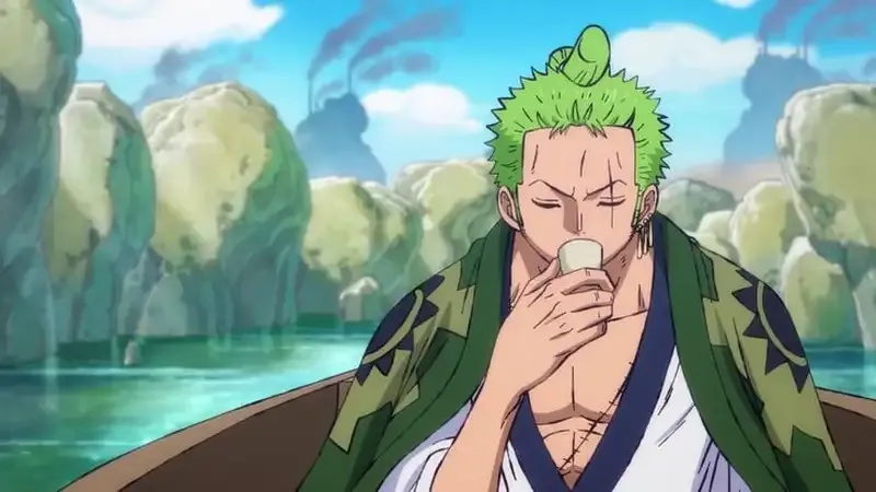 Roronoa Zoro 13