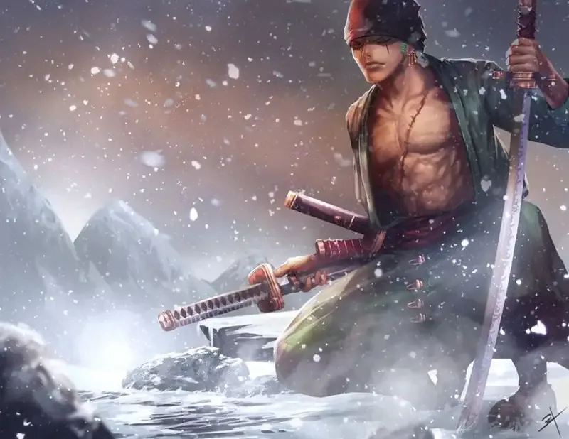 Roronoa Zoro 20