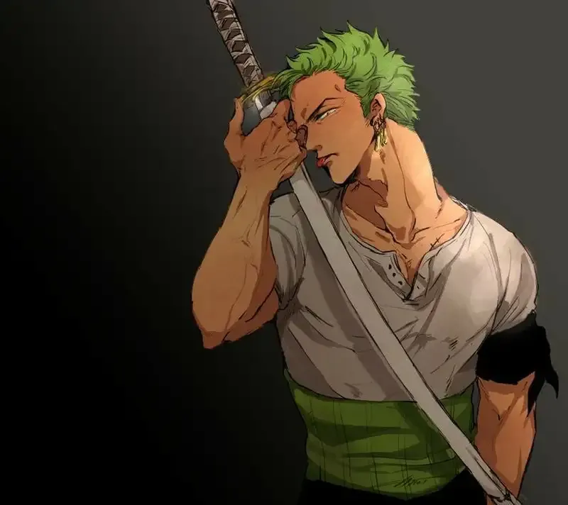 Roronoa Zoro 22