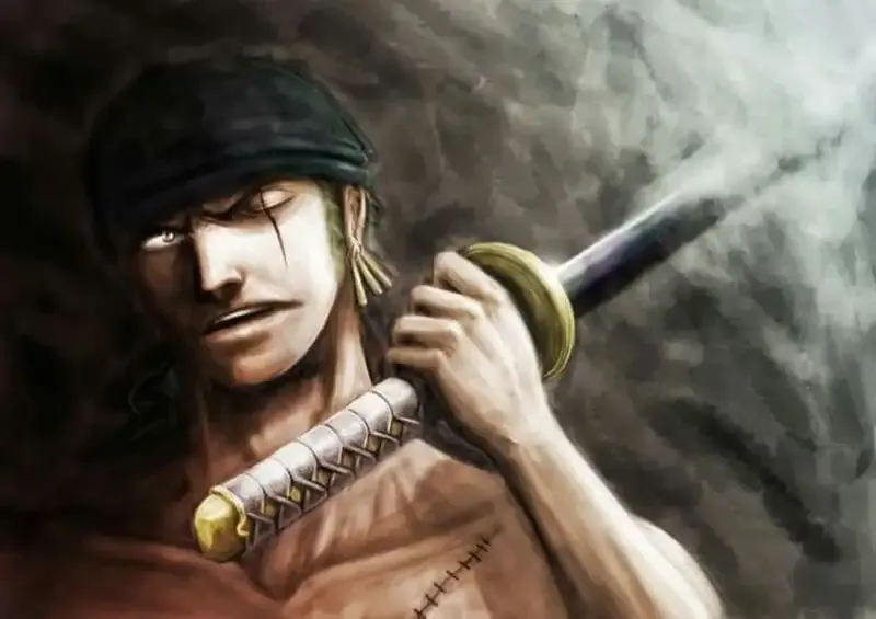 Roronoa Zoro 28