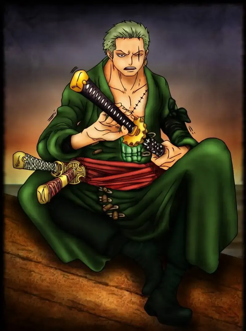 Roronoa Zoro 29