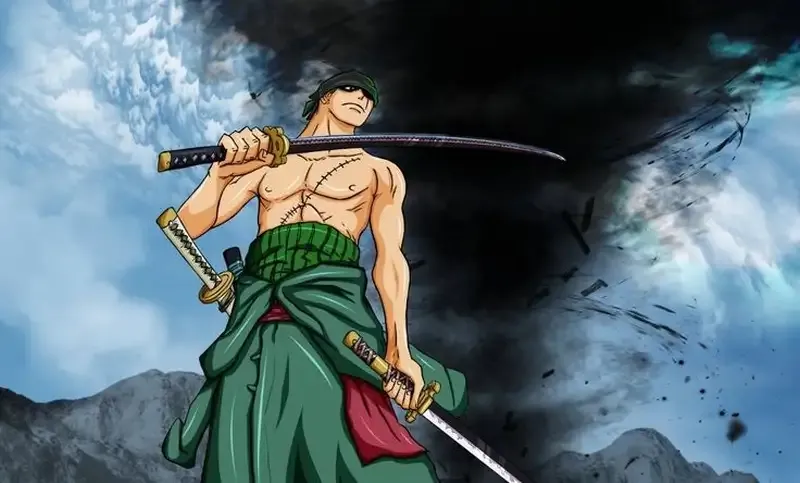 Roronoa Zoro 30