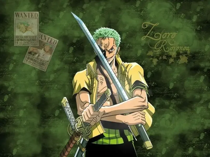 Roronoa Zoro 35