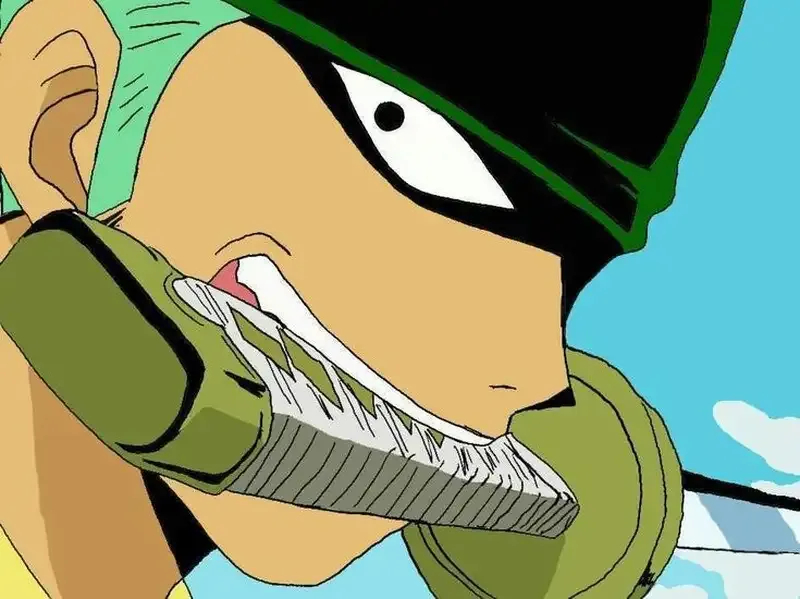 Roronoa Zoro 47