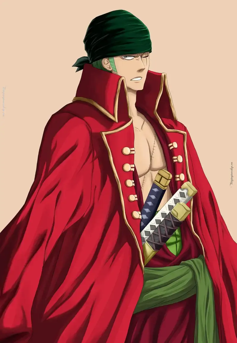 Roronoa Zoro 53