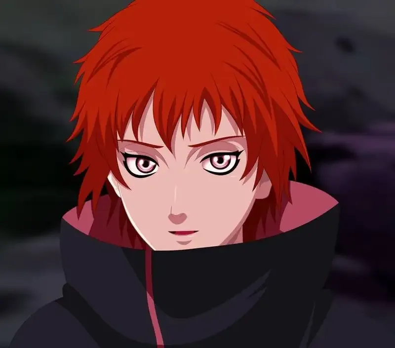 Sasori 55
