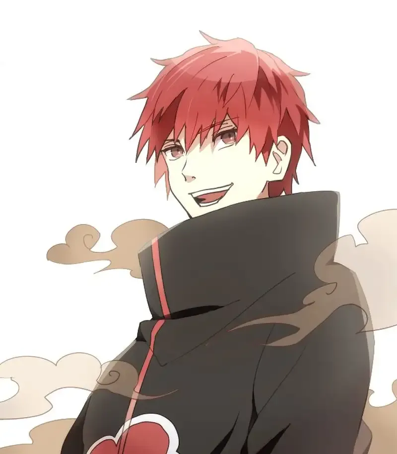 Sasori 24