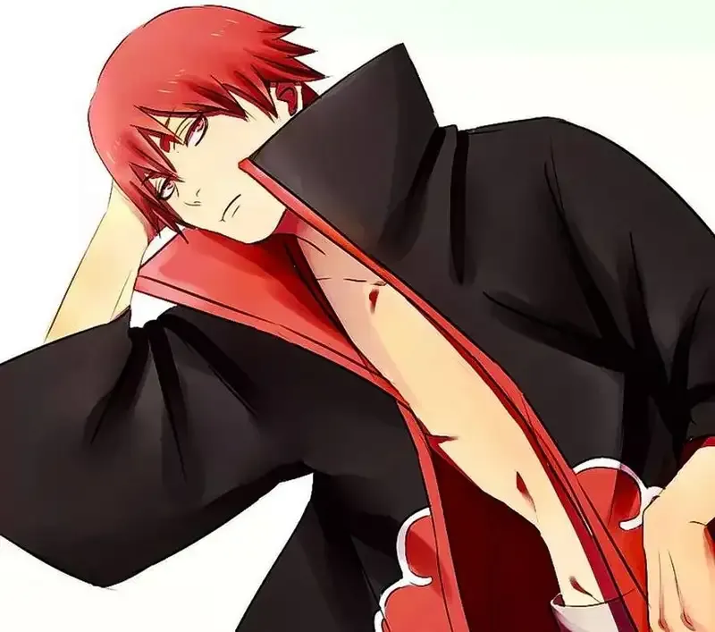 Sasori 25