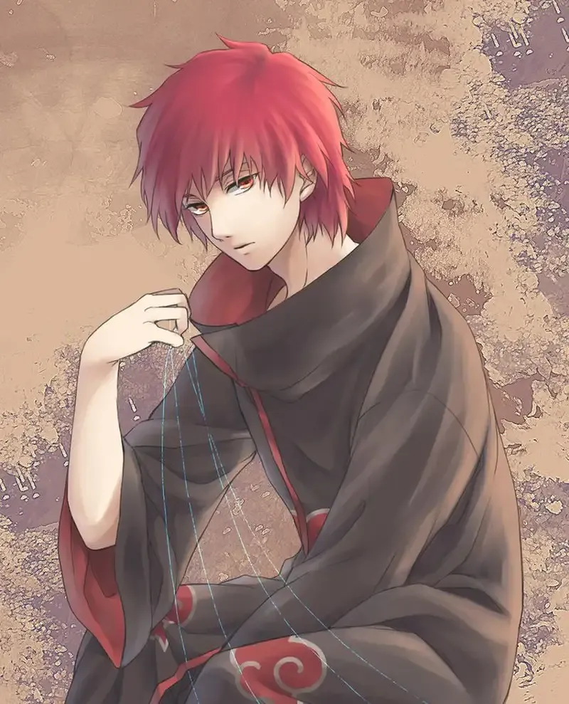Sasori 27