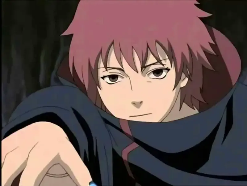Sasori 29