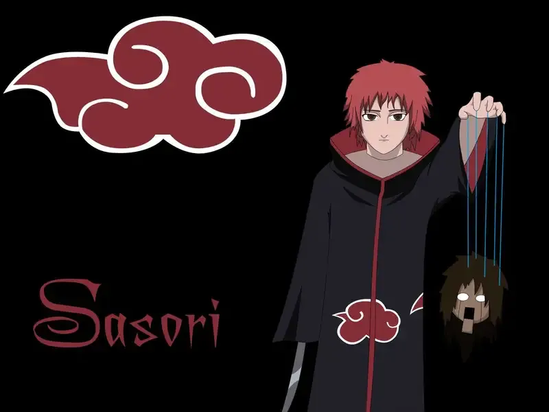 Sasori 40