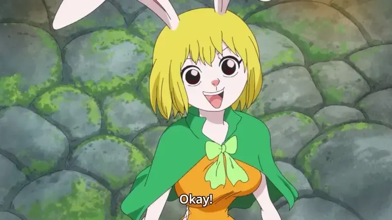 Ảnh Carrot 7
