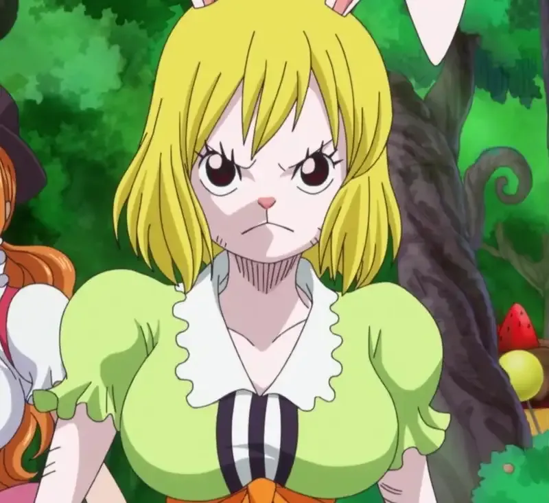 Ảnh Carrot 51