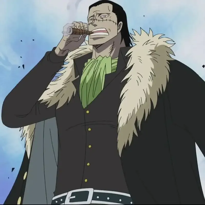 Ảnh Crocodile 4