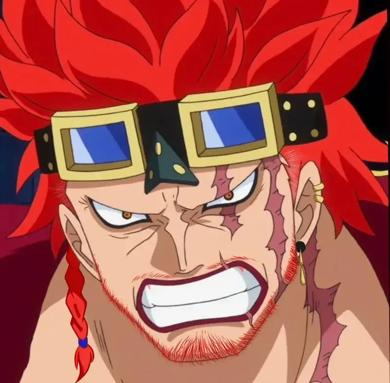 Ảnh Eustass Kid 42