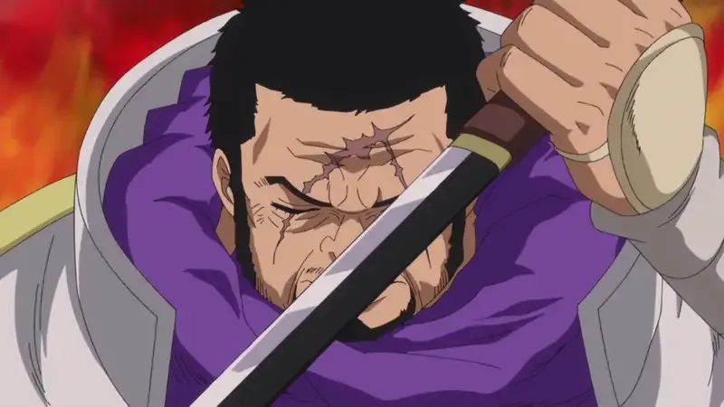 Ảnh Fujitora 13