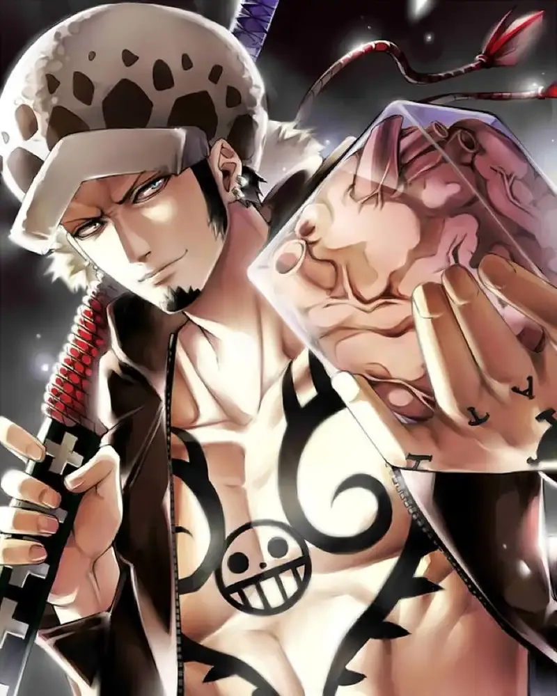 Ảnh Trafalgar D. Water Law 12