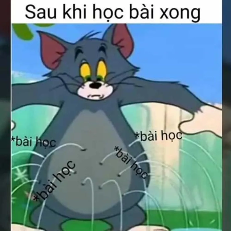 Tổng hợp tom face meme siêu hài