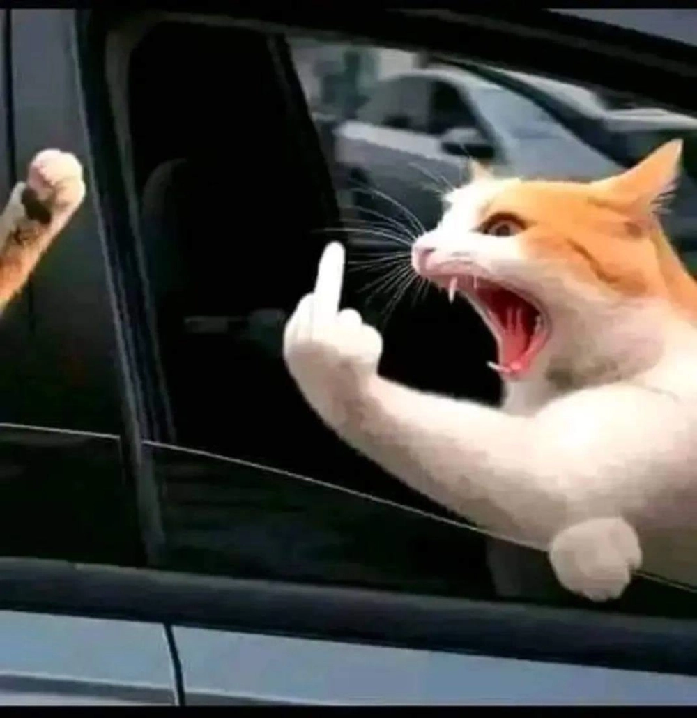 Xả stress cực mạnh với bộ sưu tập ngón giữa meme hài hước