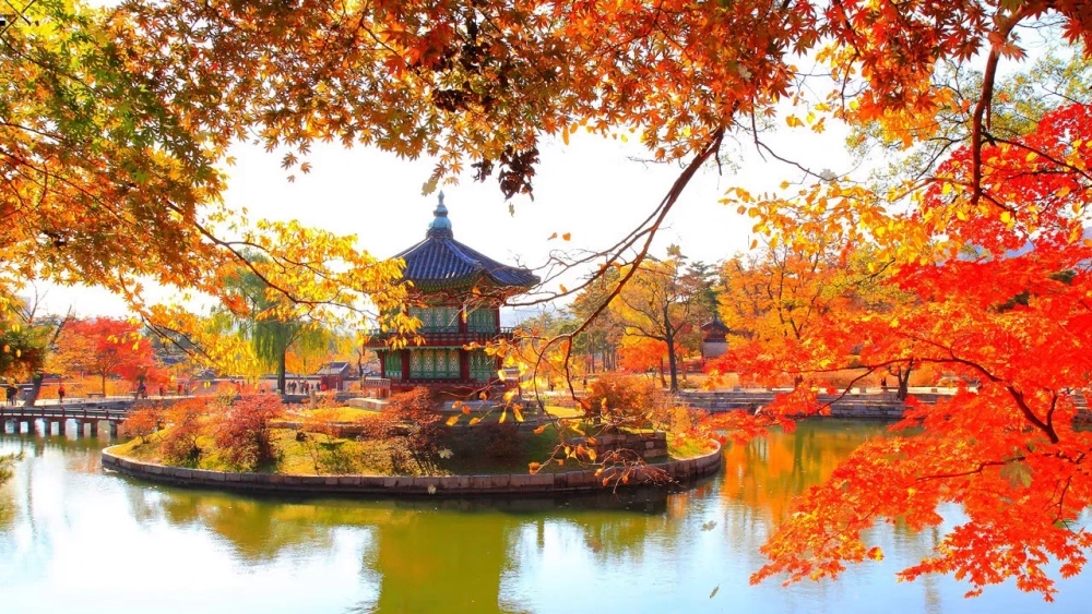 Bộ sưu tập những khoảnh khắc ảnh phong cảnh mùa thu đẹp xuất sắc nhất