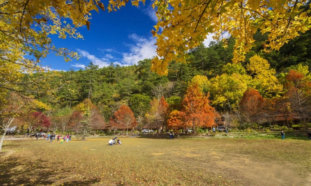 Đổi gió cho màn hình điện thoại bằng hình nền phong cảnh mùa thu cực chất