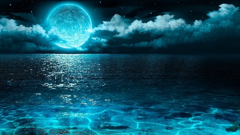 Thổi hồn vào nghệ thuật với những bức tranh phong cảnh ánh trăng