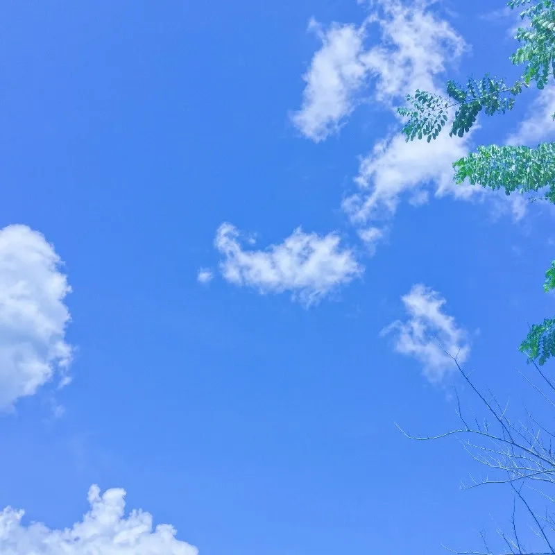 Sự kết hợp hoàn hảo giữa bầu trời avatar màu xanh dương cute