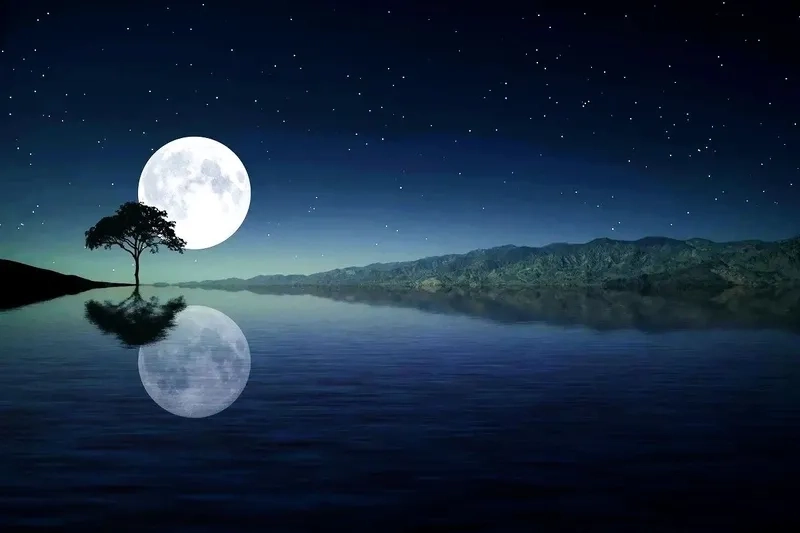 Cảm hứng bất tận cho những bài thơ về ánh trăng và mặt hồ
