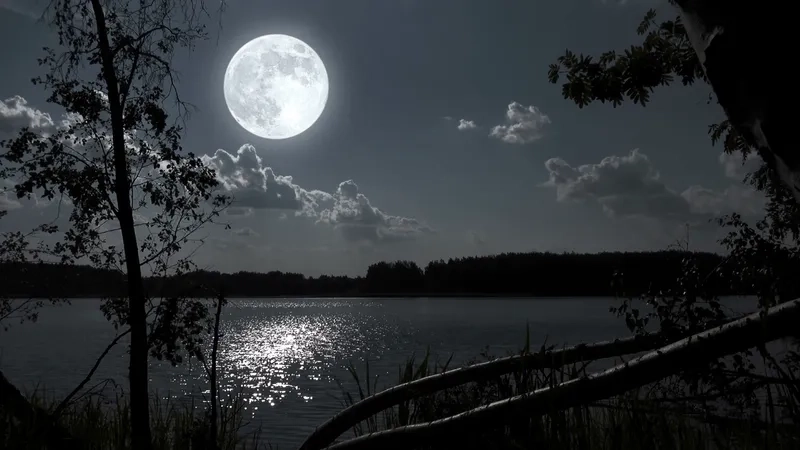 Mê mẩn trước những tấm ảnh đẹp ánh trăng lấp lánh dát vàng