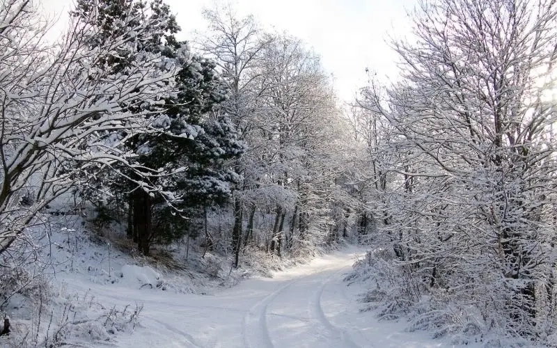 Lưu giữ trọn vẹn khoảnh khắc ảnh phong cảnh tuyết đẹp trắng xóa