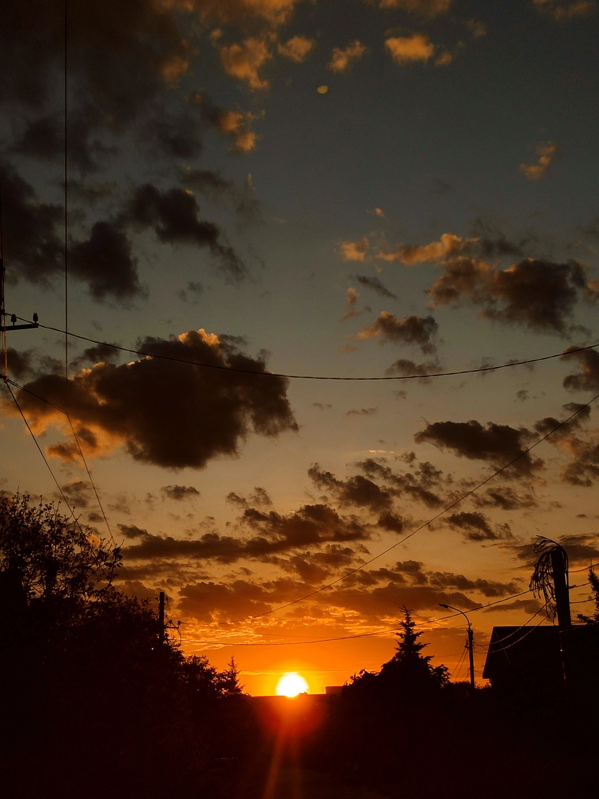 Nét cọ tinh tế và đầy cảm xúc trong các tác phẩm tranh vẽ cảnh hoàng hôn