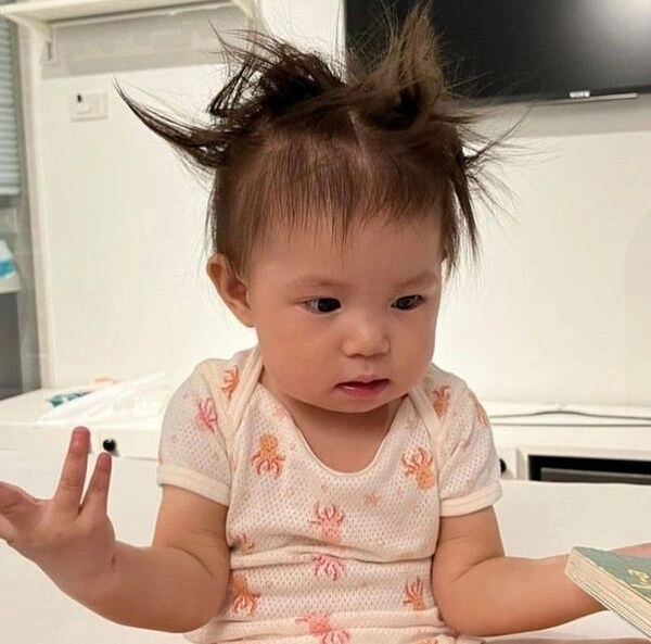 Những khoảnh khắc khó đỡ làm nên thương hiệu meme của Pam vuông