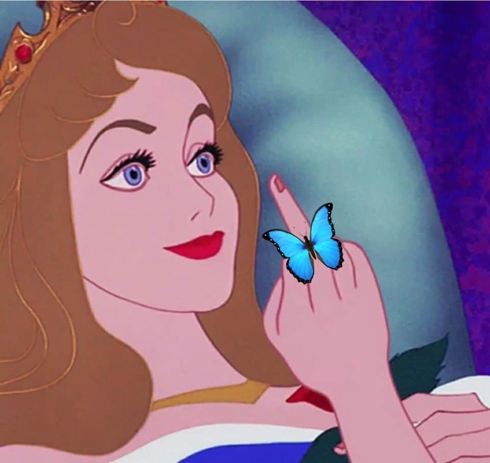 Những khoảnh khắc ảnh meme giơ ngón giữa đi vào lòng người