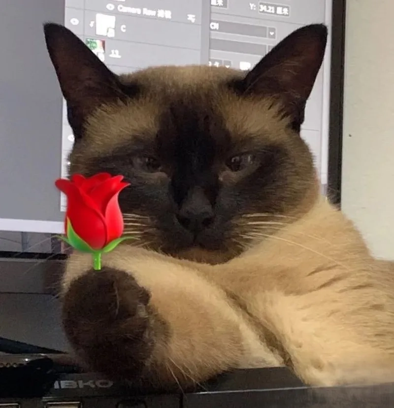 Tổng hợp những chiếc tặng hoa meme chất lượng nhất quả đất