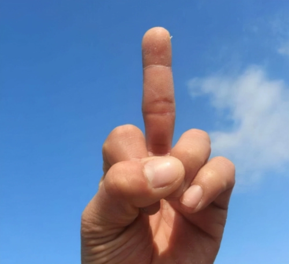 Tìm kiếm những tấm hình meme ngón giữa bựa nhất quả đất