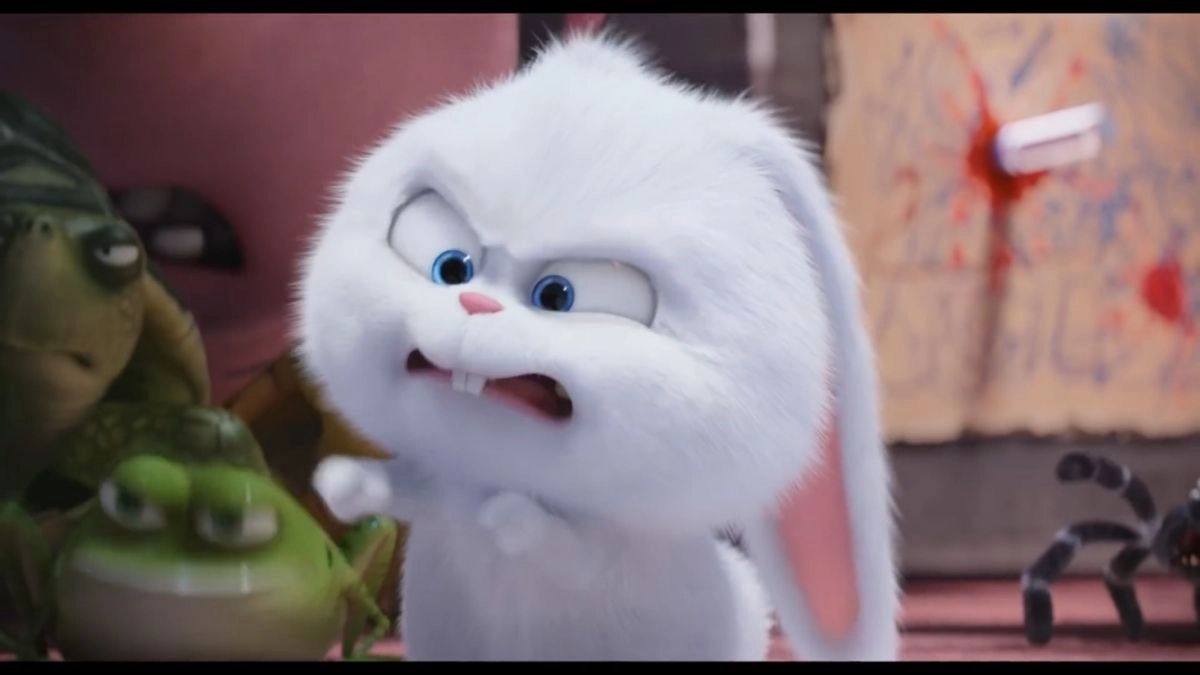 Đặt ngay avatar thỏ Snowball để thể hiện cá tính mạnh mẽ