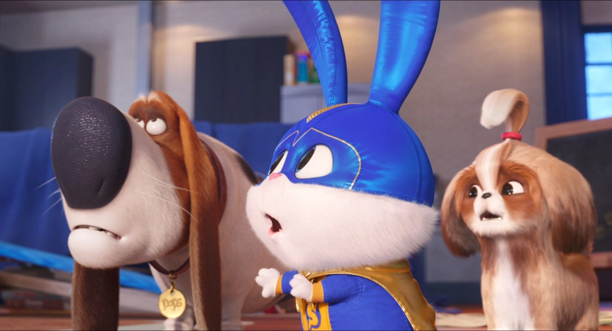 Những điều bạn chưa biết về con thỏ Snowball bá đạo này