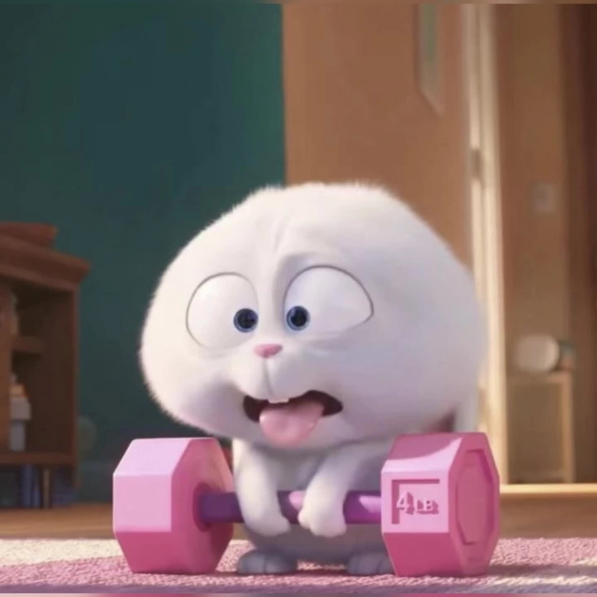 Món quà ý nghĩa tặng người yêu là gấu thỏ Snowball bông