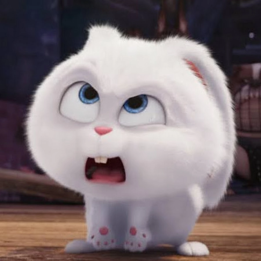 Trùm cuối cute nhất hệ mặt trời gọi tên thỏ Snowball