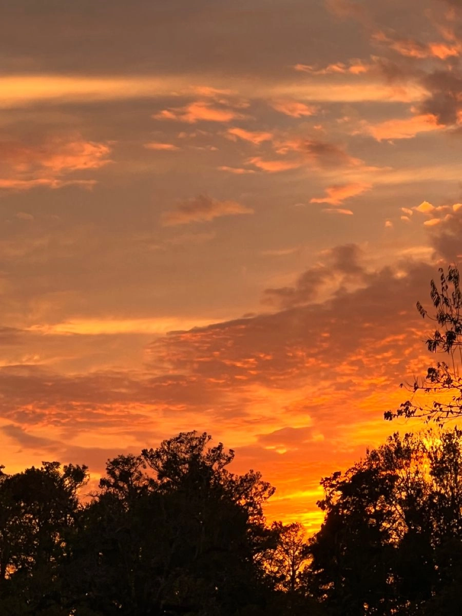 Làm đẹp màn hình máy tính với hình nền cảnh hoàng hôn 4K sắc nét